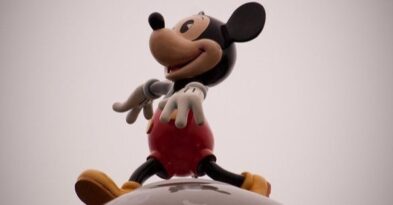 Tropical Property Damages In Disney World Orldando